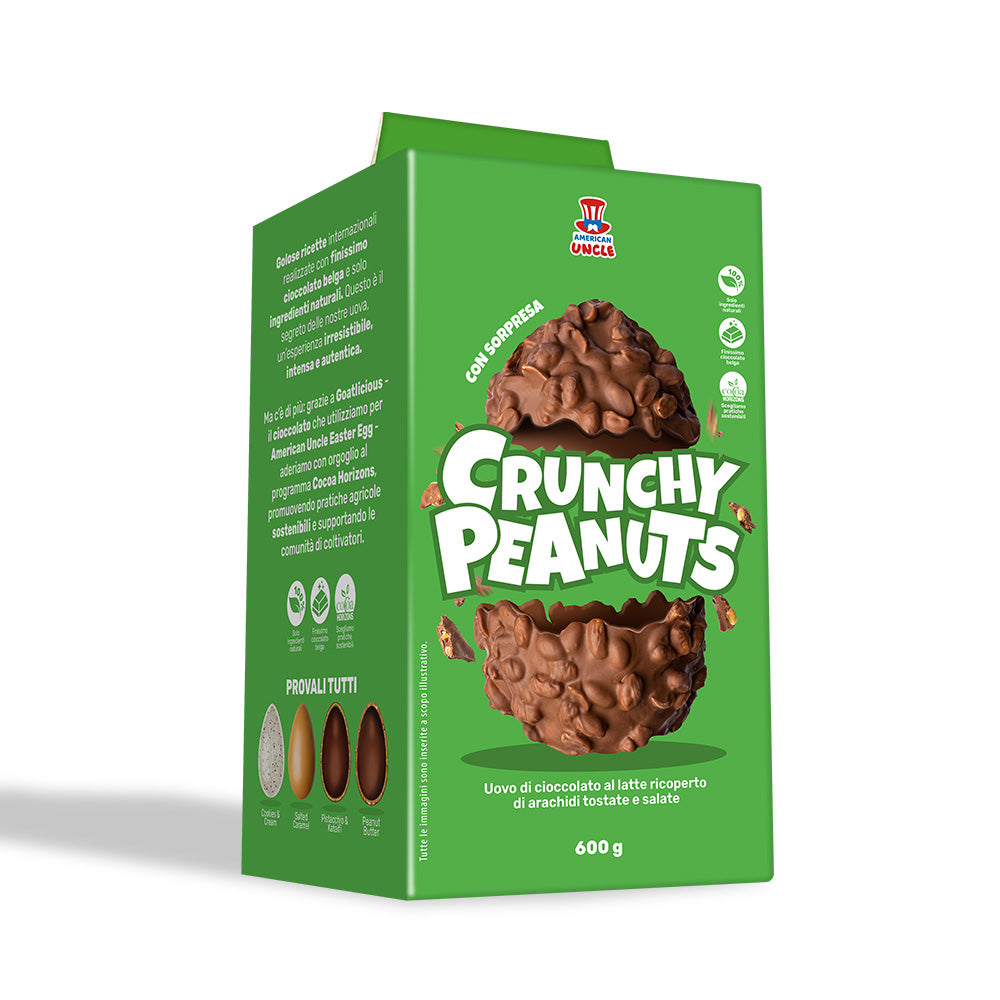 American Uncle Crunchy Peanuts Easter Egg, melkchocolade paasei bedekt met gezouten geroosterde pinda's van 600g 