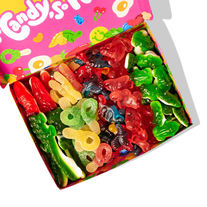 Wunnie box "Zo Snoep, Zo Blij", 5 dozen gomachtige snoepjes in verschillende smaken van 480g 