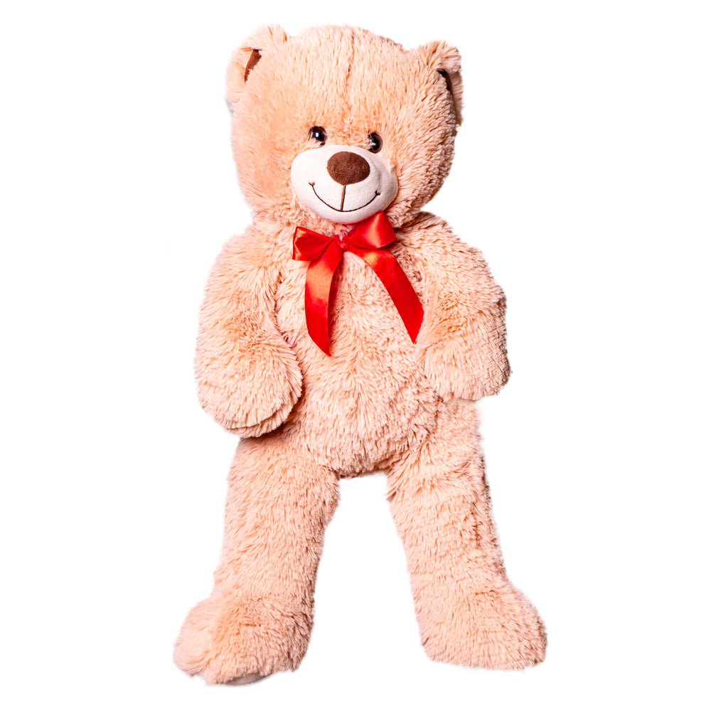 Teddybeer, knuffel in de vorm van een beertje 