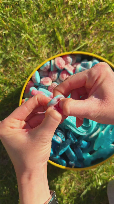 Cervelli in Wunnie Bucket Blue